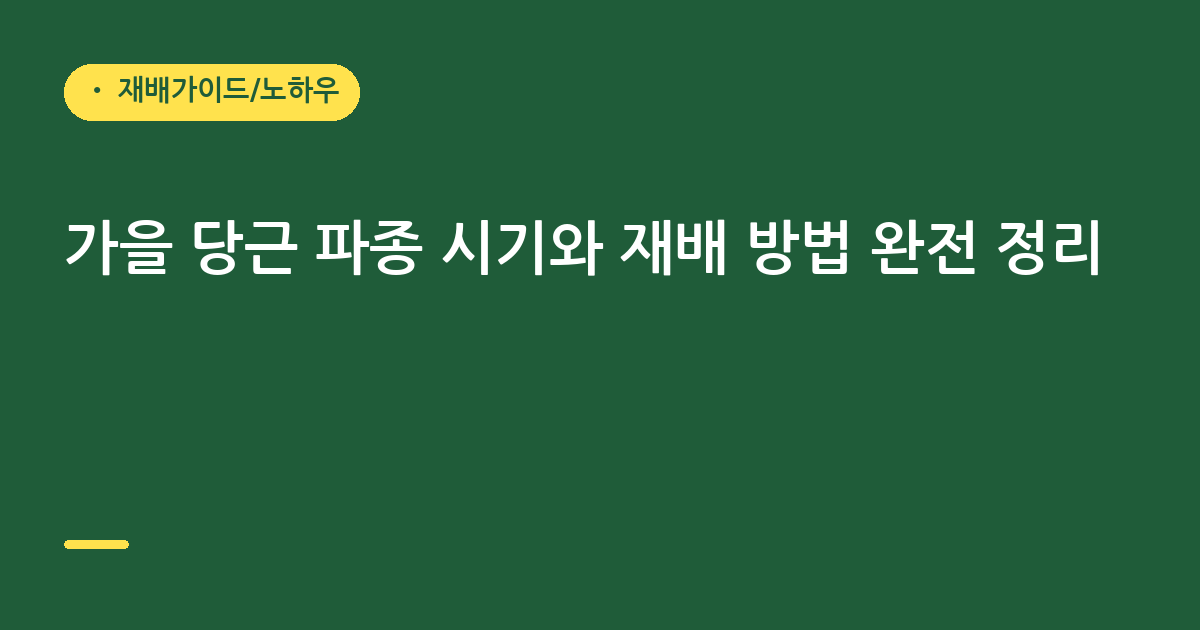 가을 당근 파종 시기와 재배 방법 완전 정리