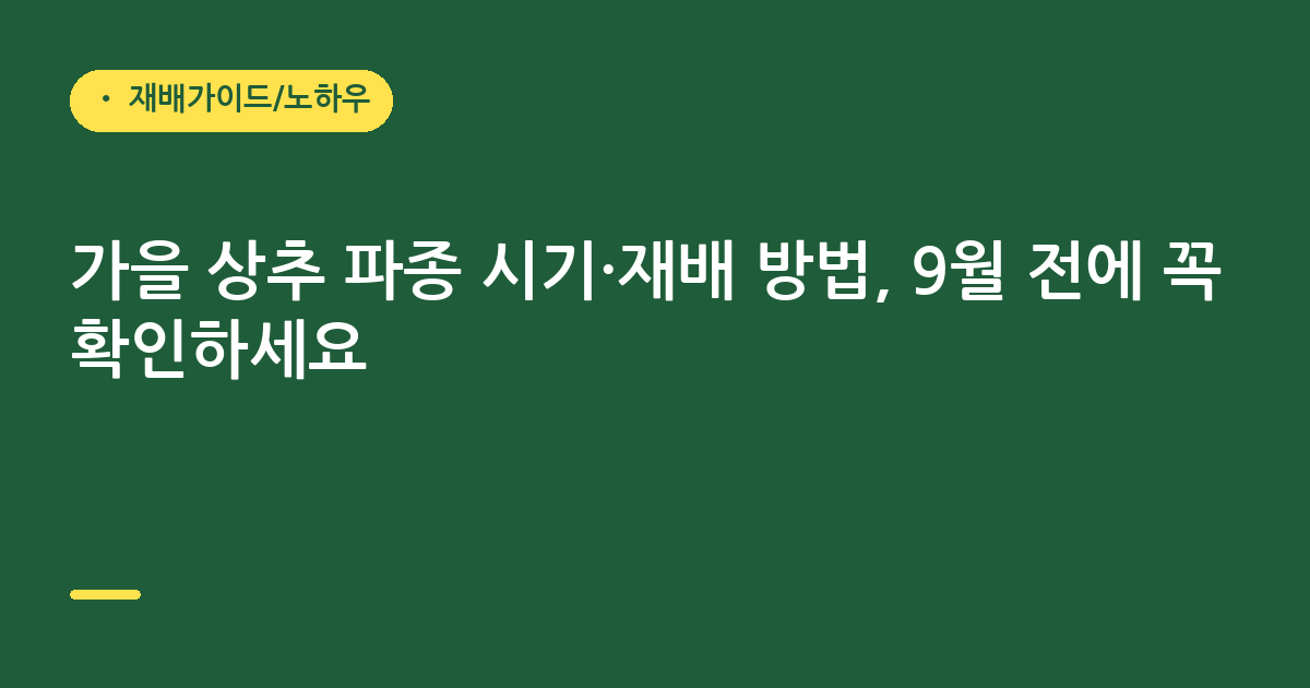 가을 상추 파종 시기·재배 방법, 9월 전에 꼭 확인하세요