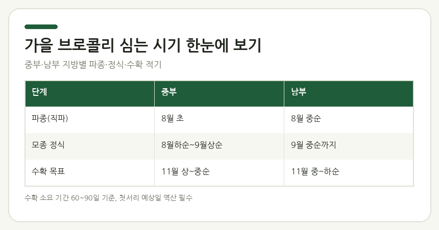가을 브로콜리 심는 시기 한눈에 보기