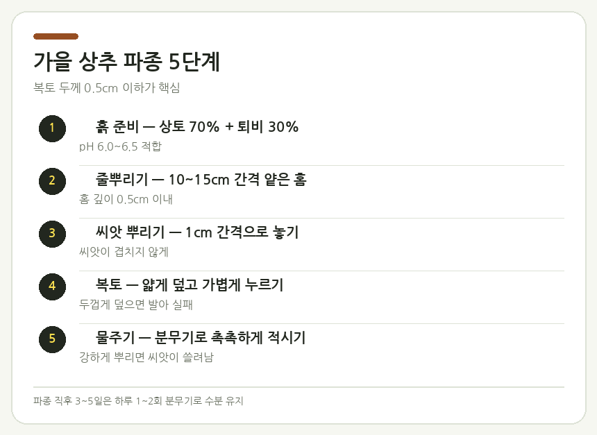 가을 상추 파종 5단계