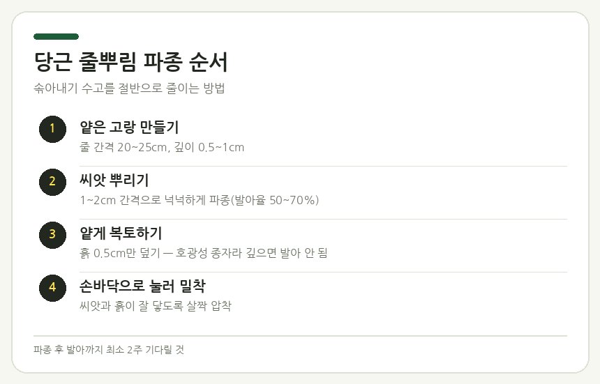 가을 당근 파종 시기 재배 방법 당근 파종 방법 단계별 안내 — 고랑 만들기·씨앗 간격·복토 깊이·복토 후 누르기 순서 정리