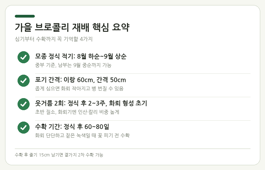 가을 브로콜리 재배 핵심 요약