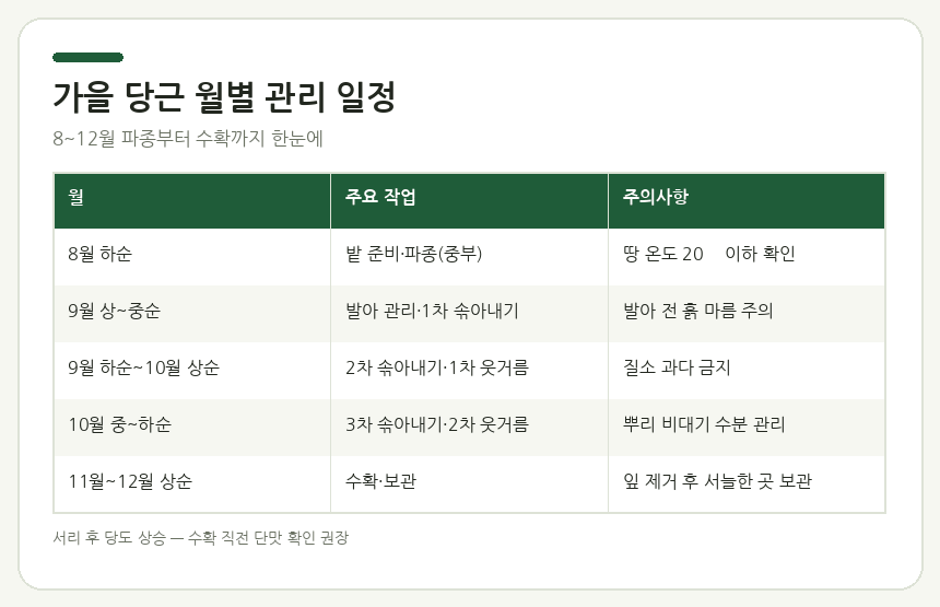 가을 당근 파종 시기 재배 방법 가을 당근 월별 관리 일정표 — 8~12월까지 파종·솎아내기·웃거름·수확 단계 한눈에 정리