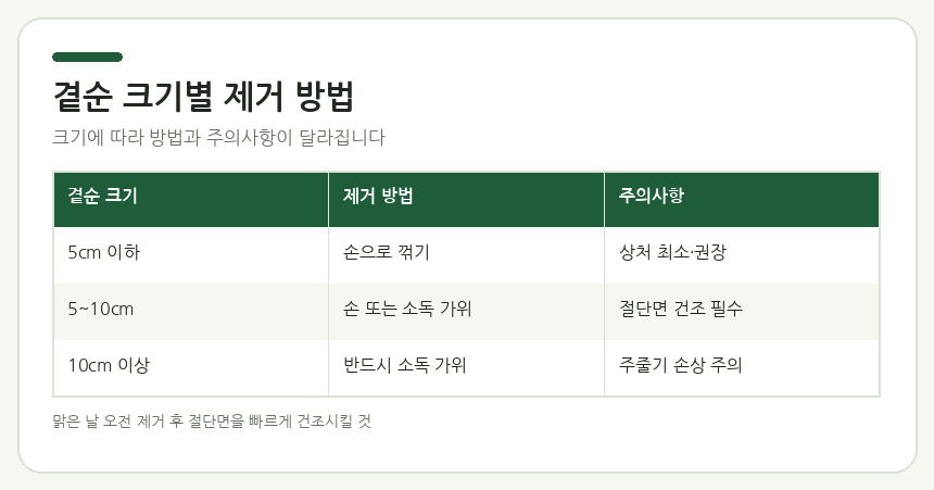 곁순 크기별 제거 방법