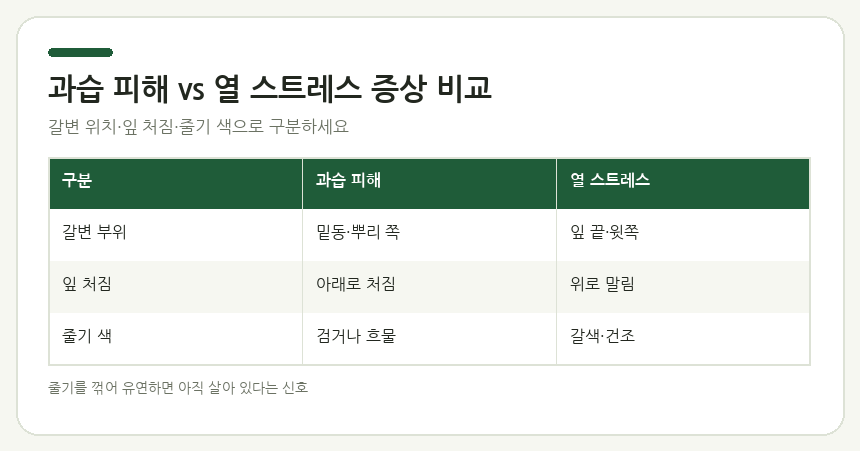 과습 피해 vs 열 스트레스 증상 비교
