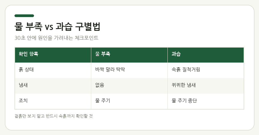 물 부족 vs 과습 구별법