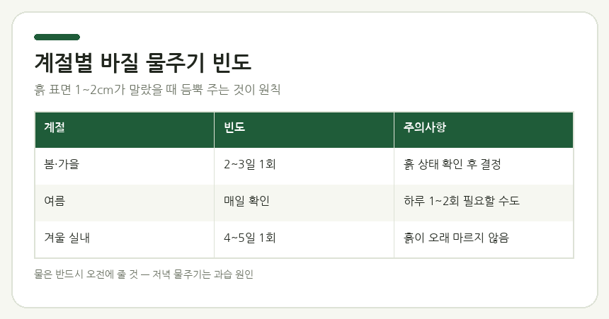 계절별 바질 물주기 빈도