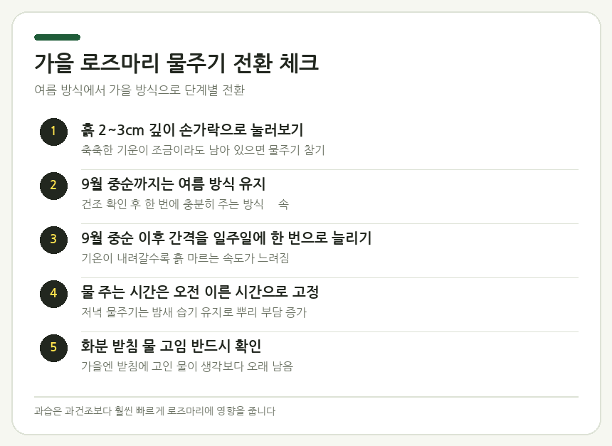 로즈마리 여름 물주기 체크리스트