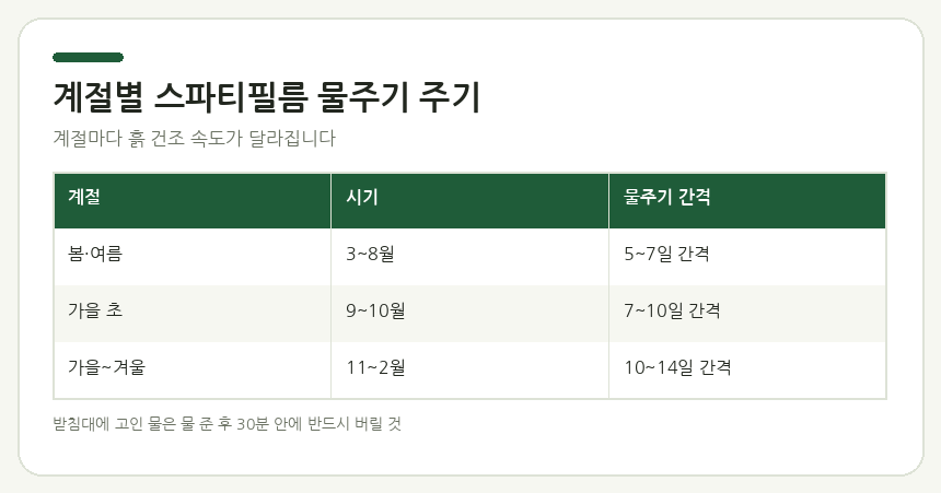 계절별 스파티필름 물주기 주기