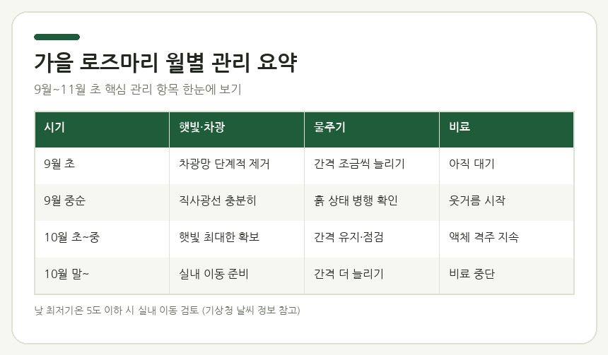 시간대별 로즈마리 화분 배치 요령