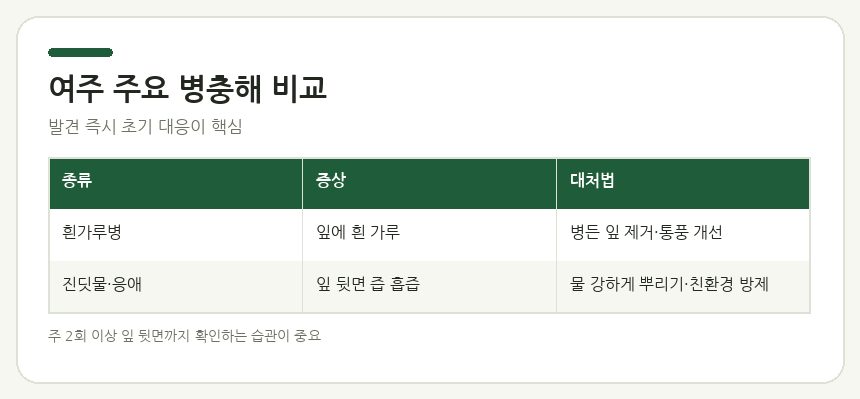 여주 주요 병충해 비교