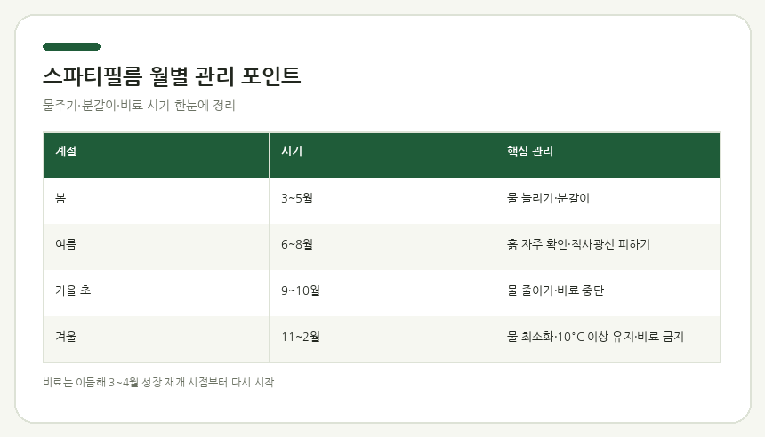 스파티필름 월별 관리 포인트