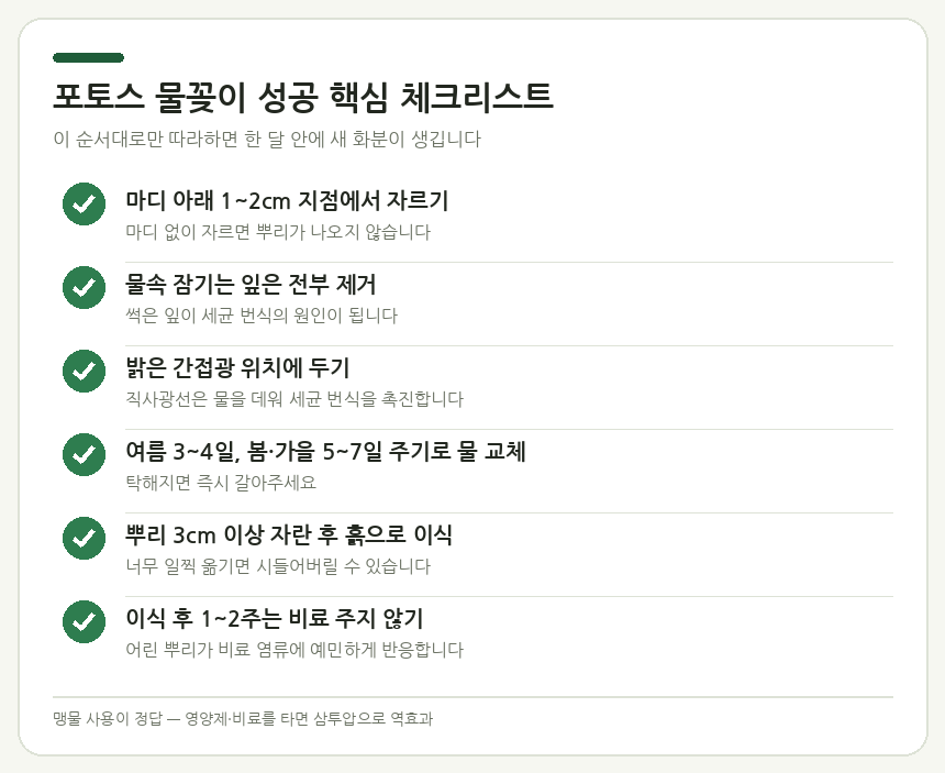 포토스 물꽂이 성공 핵심 체크리스트