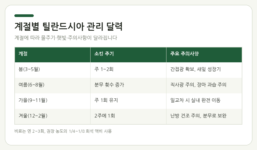 계절별 틸란드시아 관리 달력