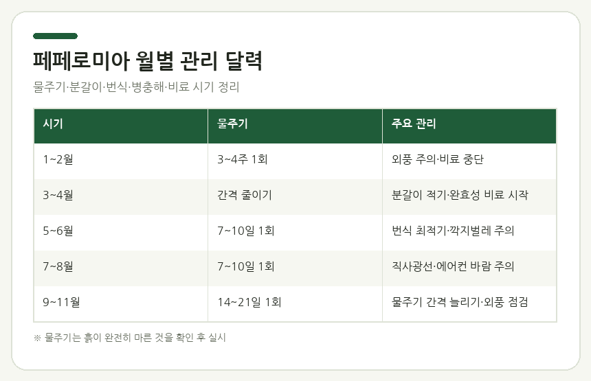페페로미아 월별 관리 달력