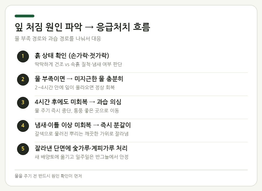 잎 처짐 원인 파악 → 응급처치 흐름