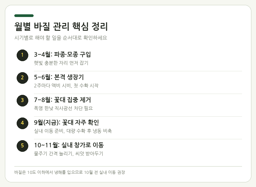 바질 키우기: 물주기·햇빛·수확 타이밍 완벽 정리 탐스럽게 수확된 바질 잎다발과 화분이 함께 놓인 주방 테이블 위 모습, 밝고 청량한 분위기, 월별 관리 핵심 3가지 요약 카드