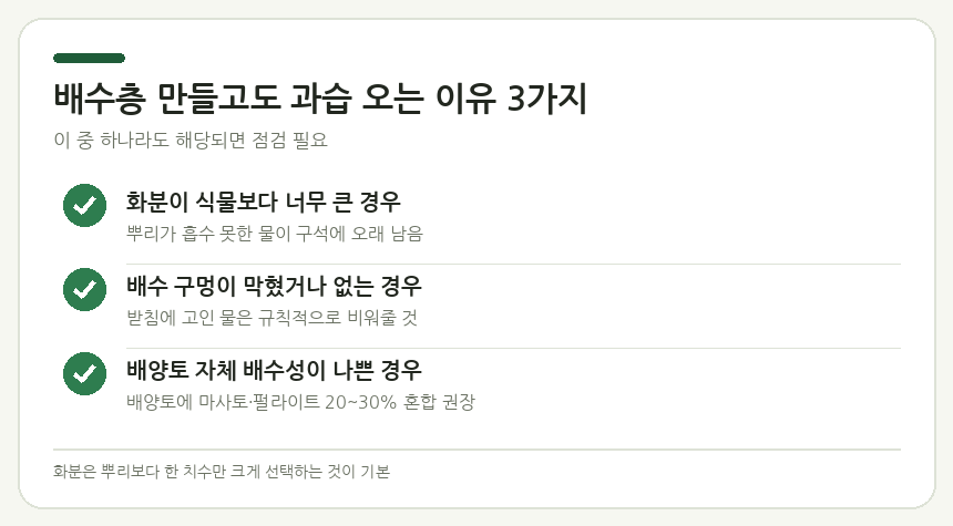 배수층 만들고도 과습 오는 이유 3가지